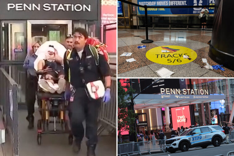 homeless-maniac-arrested-in-bloody-penn-station-rampage