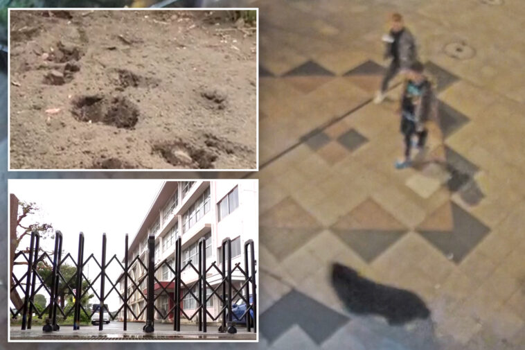 first-ever-bear-sighting-in-japanese-city-triggers-suspensions-at-94-schools