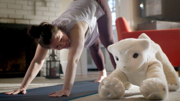 robot-pets-with-ai-could-soon-live-with-you