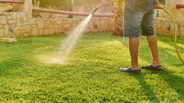 you’re-not-getting-away-with-watering-your-grass-with-your-‘crank’-out-on-sheriff-grady-judd’s-watch