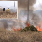 sorrento-valley-brush-fire-forces-evacuations-in-san-diego
