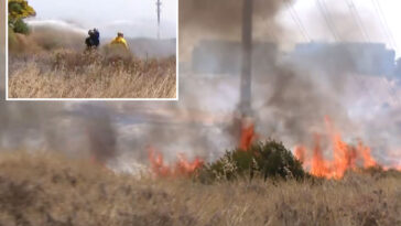 sorrento-valley-brush-fire-forces-evacuations-in-san-diego