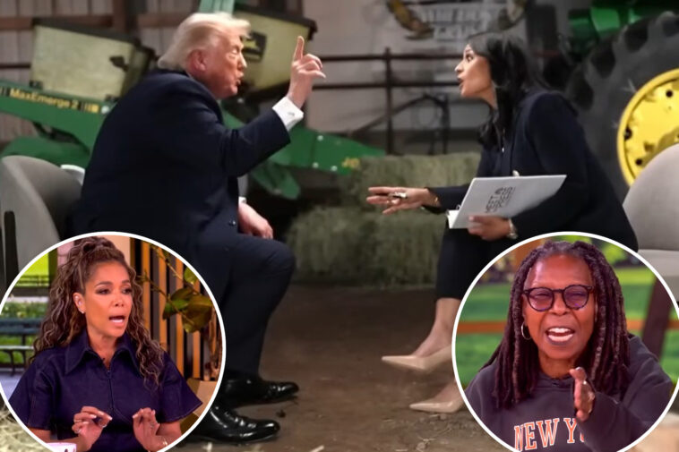 the-view-hosts-break-out-in-vicious-fight-over-california’s-vote-count