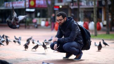 city-birds-are-more-scared-of-women-than-men-and-researchers-can’t-figure-out-why:-study
