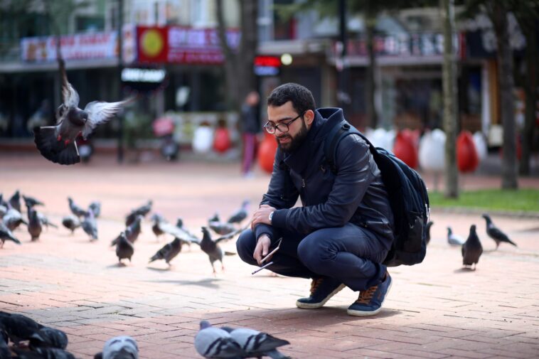 city-birds-are-more-scared-of-women-than-men-and-researchers-can’t-figure-out-why:-study