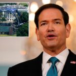 rubio-and-ufc-will-sign-deal-to-use-cage-fights-for-diplomacy