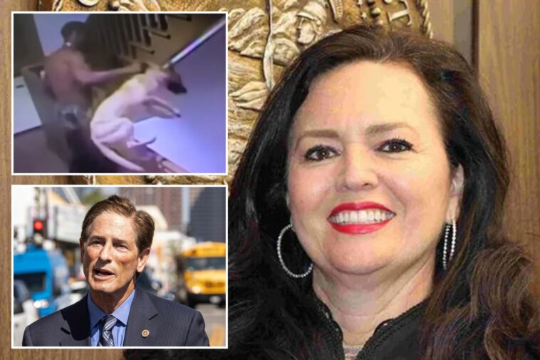 la’s-da-nathan-hochman-takes-on-soft-on-crime-judge-accused-of-slashing-charges-for-puppy-abusers-and-vandals