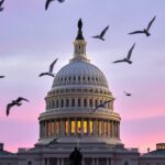 morning-glory:-the-countryside-versus-the-capitol-part-i