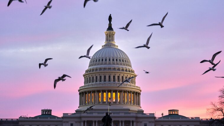 morning-glory:-the-countryside-versus-the-capitol-part-i