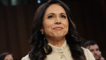 tulsi-gabbard-to-declassify-covid-coverup-and-havana-syndrome-docs-before-exit