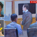 karmelo-anthony’s-lawyer-blames-austin-metcalf-for-his-own-death-in-shocking-courtroom-argument-—-and-draws-outrage-from-his-family