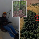 pilot-filmed-horrific-moment-paraglider-crashed-and-plummeted-to-his-death