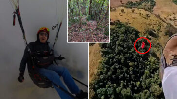 pilot-filmed-horrific-moment-paraglider-crashed-and-plummeted-to-his-death