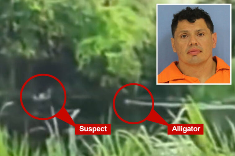 wild-video-shows-alleged-drunk-driver-run-from-cops-—-and-right-into-the-jaws-of-an-alligator