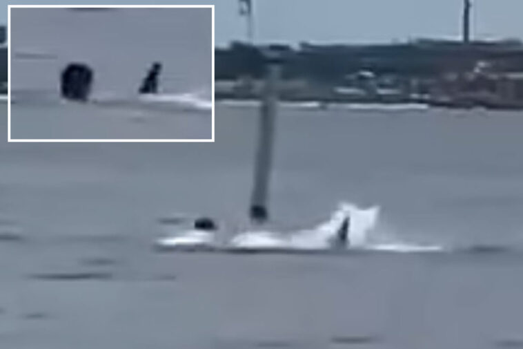navy-employee-in-critical-condition-after-shark-attack-near-florida-panhandle