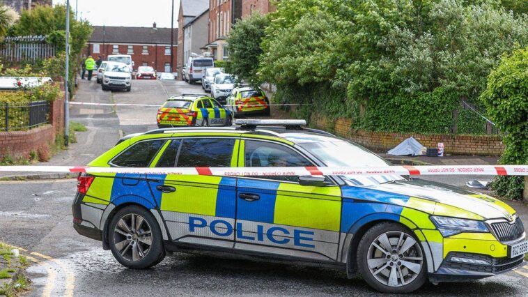 bystanders-hailed-as-‘heroic’-after-intervening-in-brutal-knife-attack-by-sudanese-migrant-in-uk