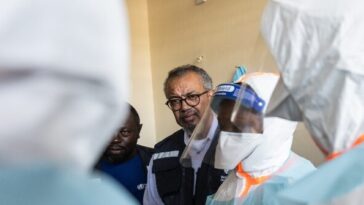 who.-calls-for-‘sustained-investment’-as-it-demands-$500-million-to-fight-ebola