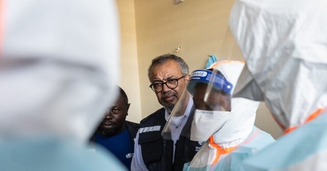 who.-calls-for-‘sustained-investment’-as-it-demands-$500-million-to-fight-ebola