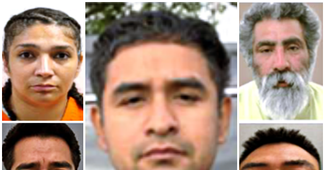 ice-agents-arrest-illegal-aliens-convicted-of-armed-assault,-terrorist-threats,-drug-conspiracy