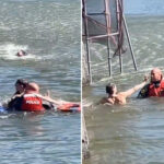 accused-crook-leaps-into-nyc’s-central-park-lake-while-running-from-cops