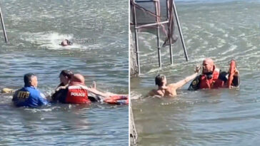 accused-crook-leaps-into-nyc’s-central-park-lake-while-running-from-cops