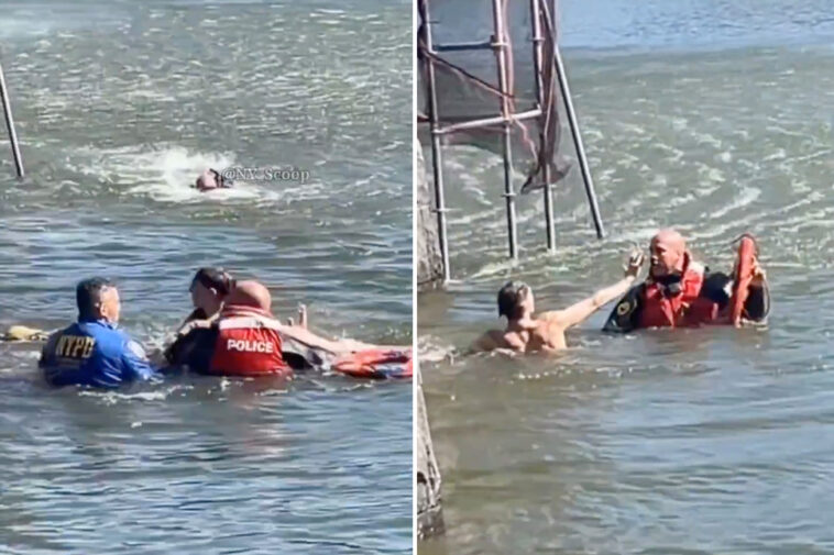 accused-crook-leaps-into-nyc’s-central-park-lake-while-running-from-cops