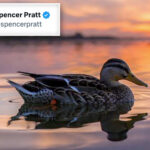 spencer-pratt-drops-cryptic-post-after-shocking-defeat-in-la-mayoral-primary