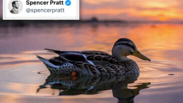 spencer-pratt-drops-cryptic-post-after-shocking-defeat-in-la-mayoral-primary