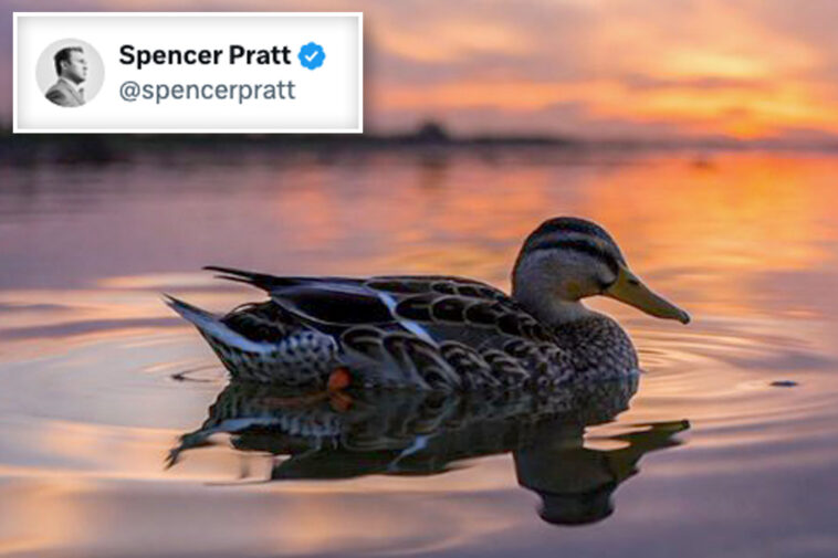 spencer-pratt-drops-cryptic-post-after-shocking-defeat-in-la-mayoral-primary