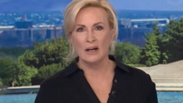 msnow-clown-show:-mika-blasts-trump-for-questioning-la-mayor-race,-panel-then-floats-conspiracy-theories-about-republicans-stealing-the-midterms-(video)