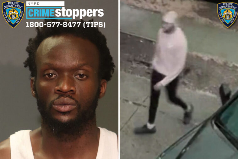 police-hunting-for-creep-accused-of-breaking-into-8-year-old’s-nyc-bedroom,-sexually-assaulting-her