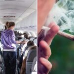 flying-with-cannabis?-tsa’s-new-guidance-comes-with-a-major-health-warning