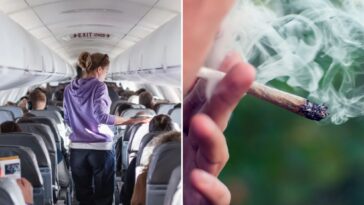 flying-with-cannabis?-tsa’s-new-guidance-comes-with-a-major-health-warning
