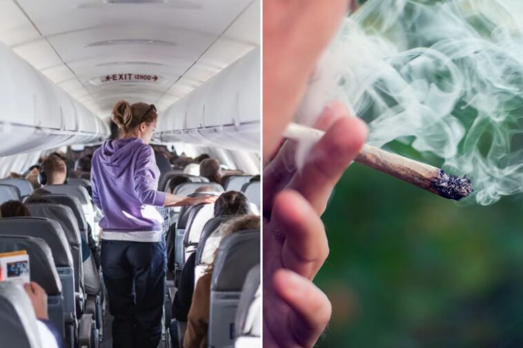 flying-with-cannabis?-tsa’s-new-guidance-comes-with-a-major-health-warning