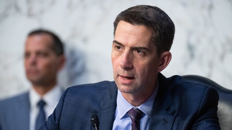 sen-tom-cotton-urges-doj-to-probe-chinese-bid-to-‘kneecap’-american-ai