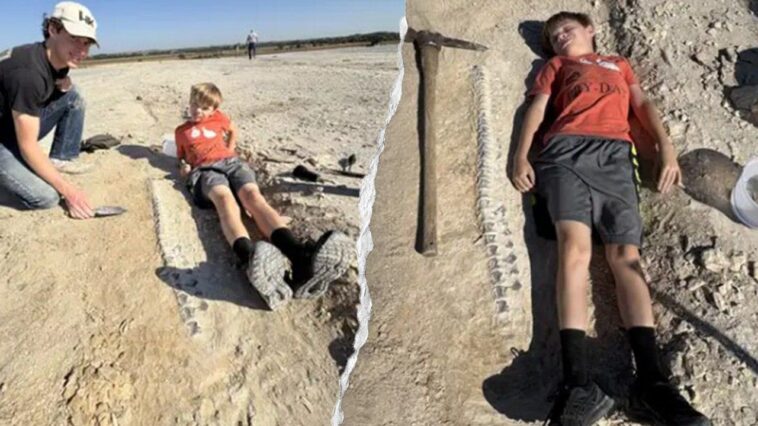 kansas-boy-discovers-15-foot-marine-reptile-fossil-from-85-million-years-ago-during-geology-field-trip