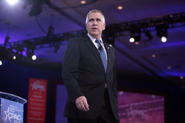 leaked:-rino-thom-tillis-throws-a-tantrum-in-private-email-to-gop-colleagues-—-whines-about-trump’s-“constant-push”-for-save-america-act,-defends-susan-collins,-and-attacks-tommy-tuberville-for-calling-out-republican-betrayers-by-name