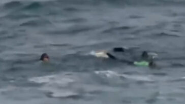 desperate-search-for-girl-after-monster-wave-sweeps-her-away-from-her-mom-off-laguna-beach
