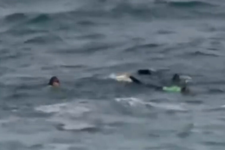 desperate-search-for-girl-after-monster-wave-sweeps-her-away-from-her-mom-off-laguna-beach