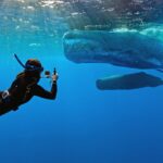 ‘whalefall’-trailer-is-here-to-add-getting-swallowed-by-a-sperm-whale-while-scuba-diving-to-your-list-of-fears
