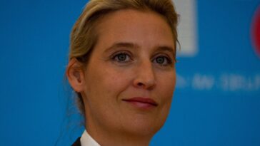 afd’s-weidel-demands-ukraine-pay-reparations-over-nord-stream-“state-terrorist”-attack;-calls-for-end-of-military-and-financial-support