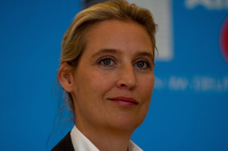 afd’s-weidel-demands-ukraine-pay-reparations-over-nord-stream-“state-terrorist”-attack;-calls-for-end-of-military-and-financial-support