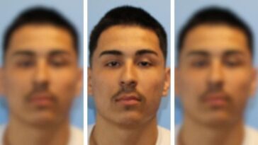 exclusive:-‘i’ve-got-something-for-you’:-man-threatens-ice-agents-before-pulling-out-ar-15