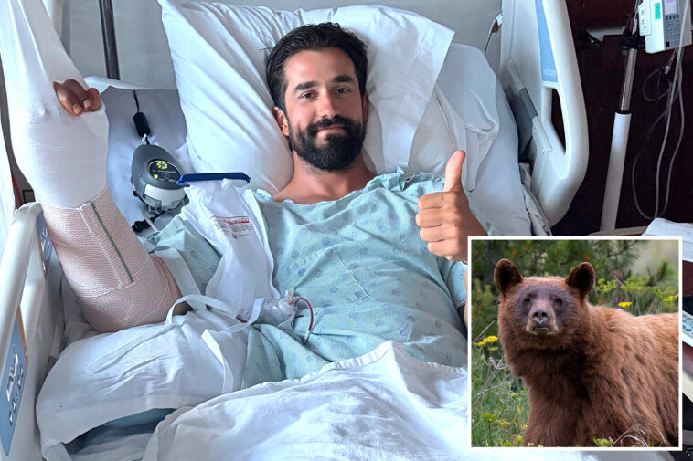 fresh-hell-for-california-baseball-star-daniel-crago-after-his-arm-was-ripped-apart-by-grizzly-bear-in-montana