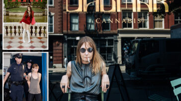 sex,-weed-and-a-secret-marriage-fueling-intense-legal-battle-over-trendy-soho-pot-shop:-‘a-fictional-narrative’