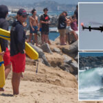 horrifying-new-details-emerge-about-family-swept-away-by-giant-wave-in-laguna-beach