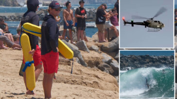 horrifying-new-details-emerge-about-family-swept-away-by-giant-wave-in-laguna-beach