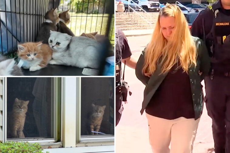 long-island-hoarder-busted-with-130-cats-and-dogs-at-‘deplorable’-home—-after-daughter-calls-police-on-her