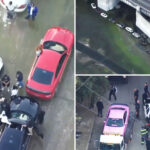 72-supercars-seized-in-la-river-as-drivers-left-shocked-by-sting:-‘we-weren’t-doing-anything-stupid’