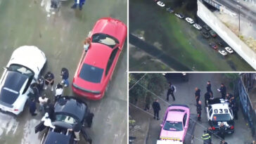 72-supercars-seized-in-la-river-as-drivers-left-shocked-by-sting:-‘we-weren’t-doing-anything-stupid’